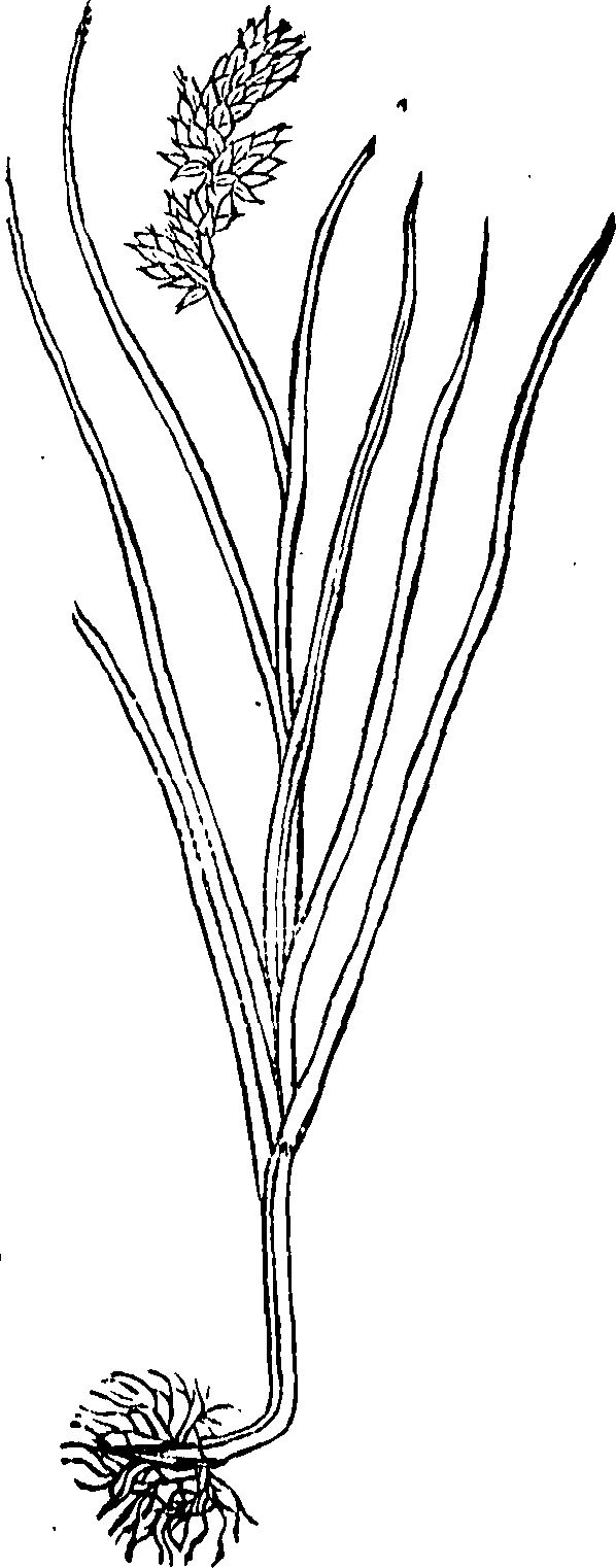 062/062840080000050_0.png