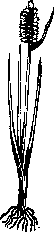062/062840080000070_0.png
