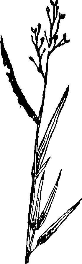 062/062840080000130_0.png