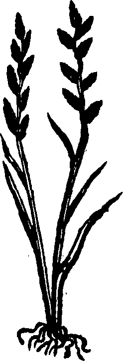 062/062840080000170_0.png