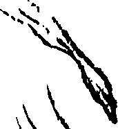 062/062840080000250_0.png