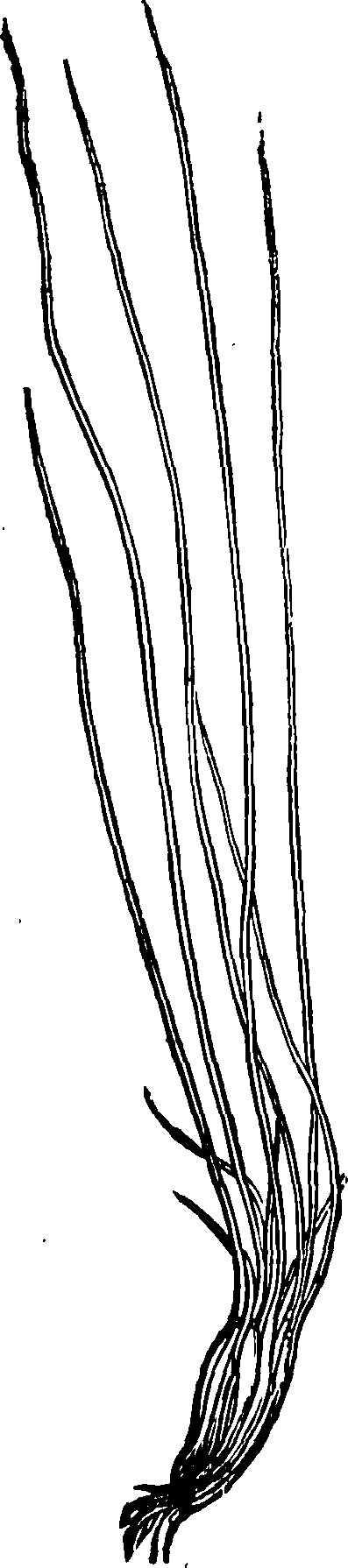 062/062840080000250_1.png
