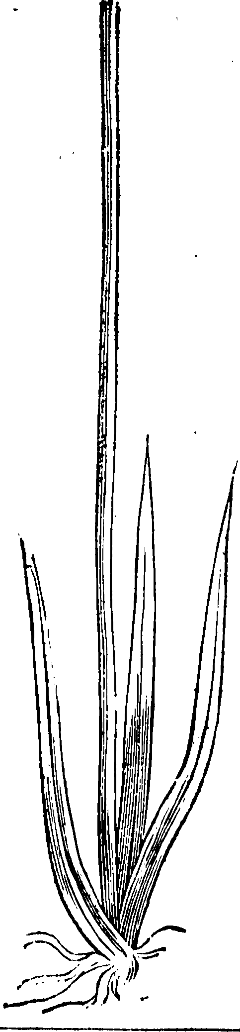 062/062840080000260_0.png
