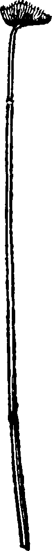 062/062840080000270_0.png