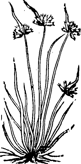 062/062840080000290_0.png