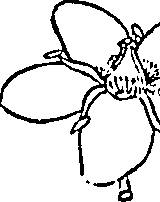 062/062840080000380_1.png