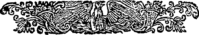 062/062860020000360_0.png
