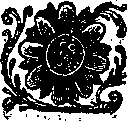 062/062860020000770_0.png