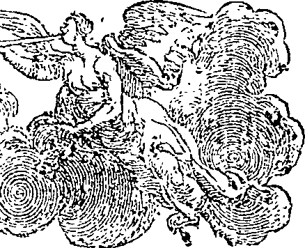 062/062870050102780_0.png