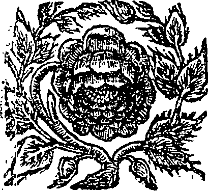 062/062870050201930_0.png