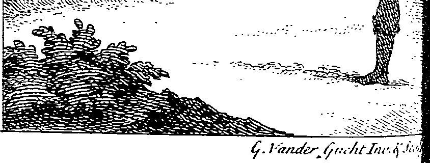 062/062870050301990_0.png