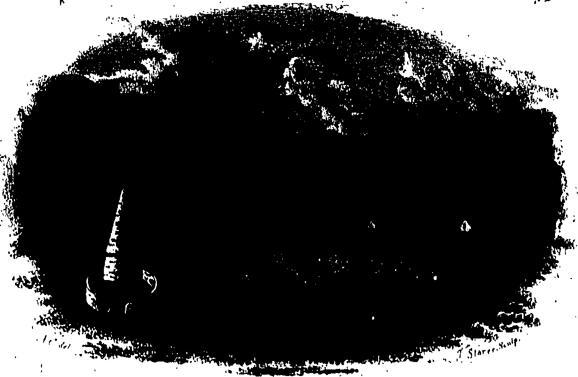 062/062950010101530_0.png
