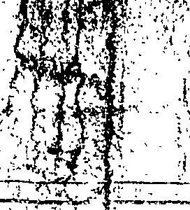 062/062950010102360_0.png