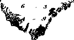 062/062950010102890_0.png
