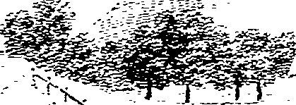 062/062950010103860_0.png