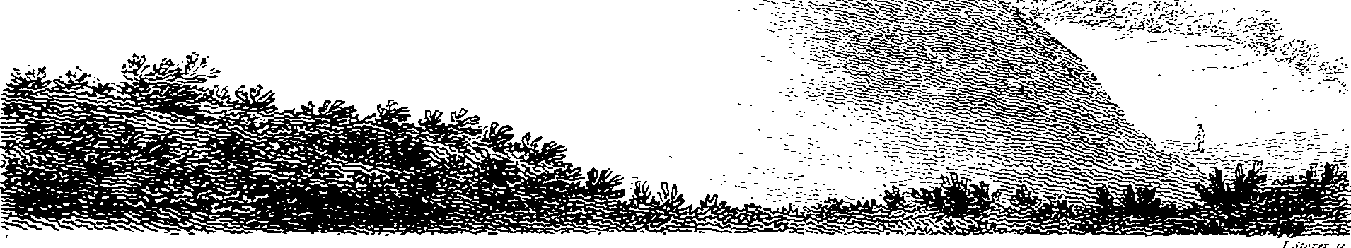062/062950010103870_0.png