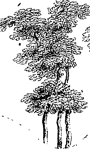 062/062950010103880_0.png