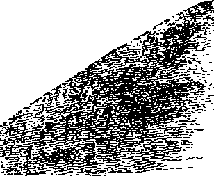 062/062950010103890_0.png