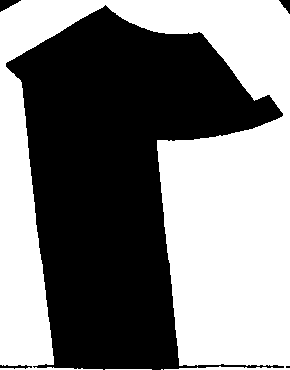 062/062950010300980_0.png