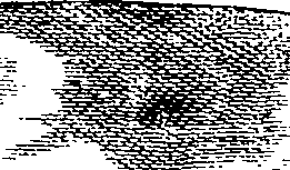 062/062950010302680_2.png