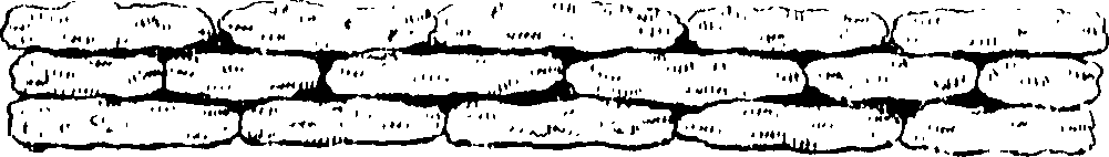 062/062950010302740_0.png