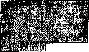 062/062950010302840_4.png