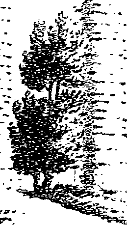 062/062950010403070_0.png