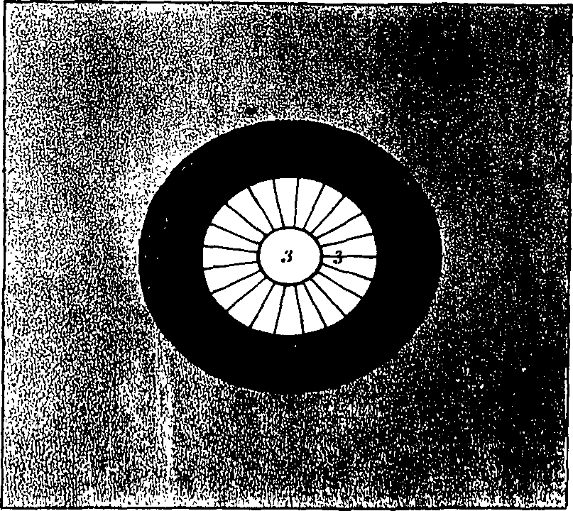 062/062950010403360_1.png
