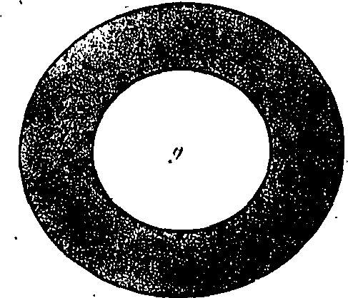 062/062950010403360_2.png