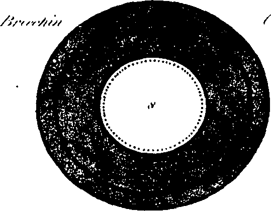 062/062950010403360_4.png
