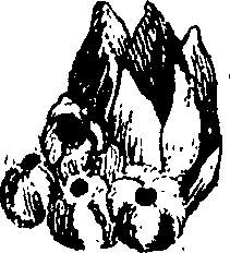 062/062970010000380_0.png