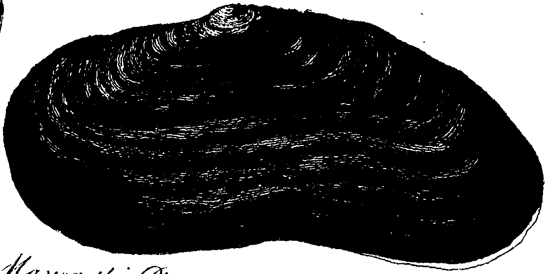 062/062970010000490_0.png