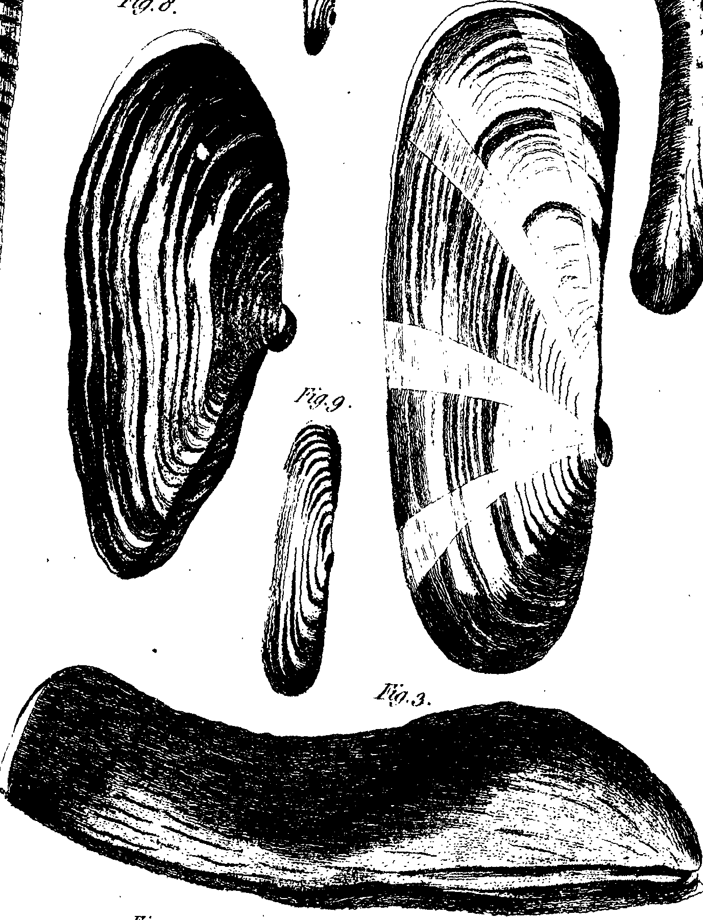 062/062970010000490_1.png