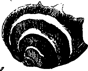 062/062970010000630_0.png