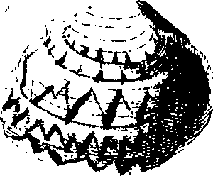 062/062970010000630_2.png