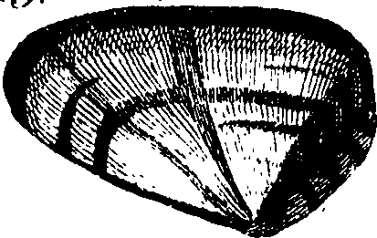062/062970010000630_4.png