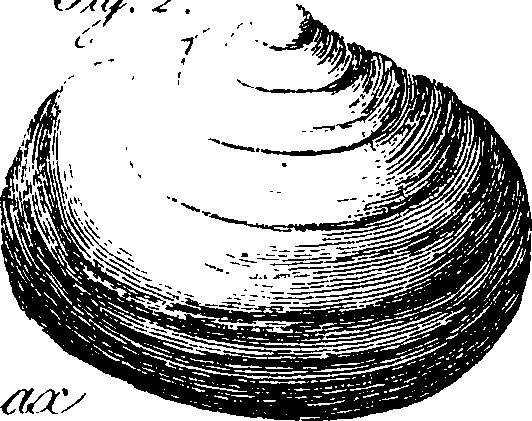 062/062970010000630_5.png