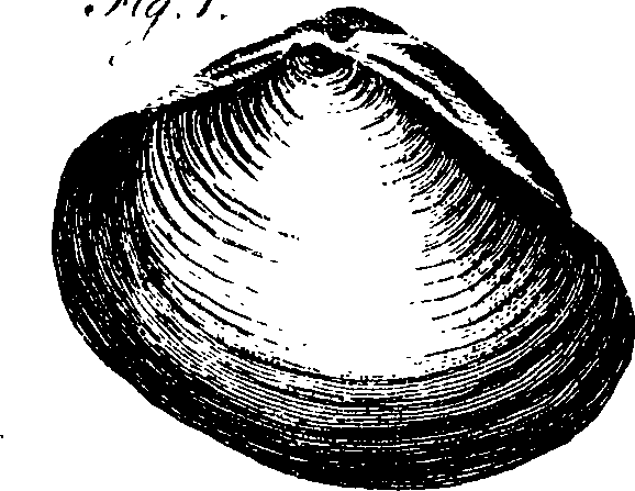 062/062970010000630_6.png