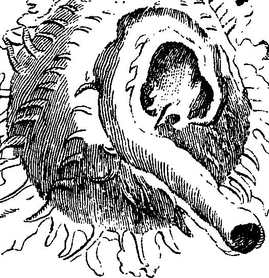 062/062970010000760_0.png
