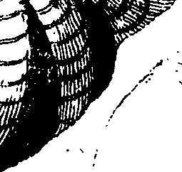 062/062970010000810_0.png