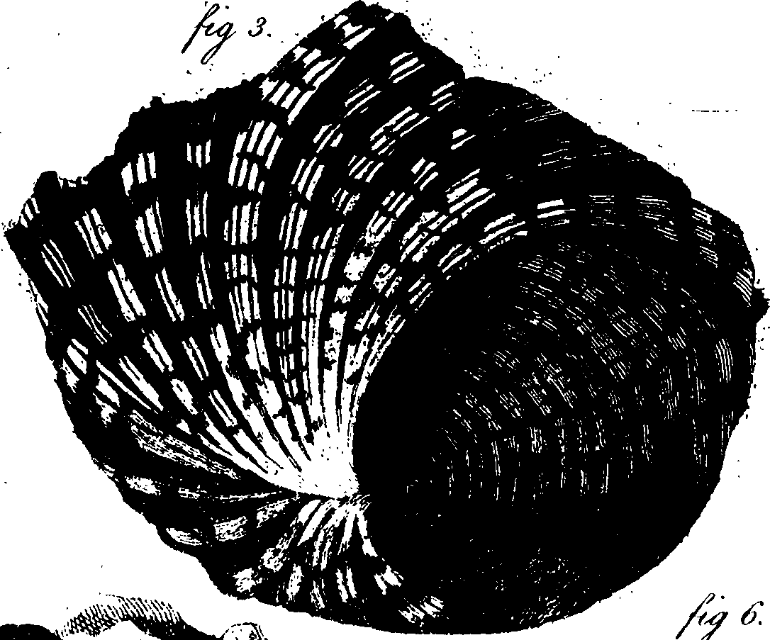 062/062970010000810_1.png