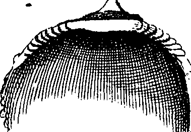 062/062970010000840_0.png