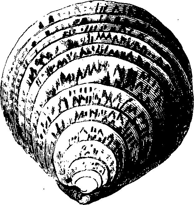 062/062970010000840_1.png
