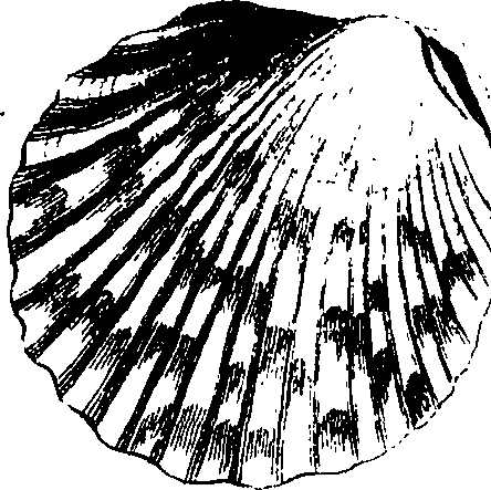 062/062970010000840_2.png