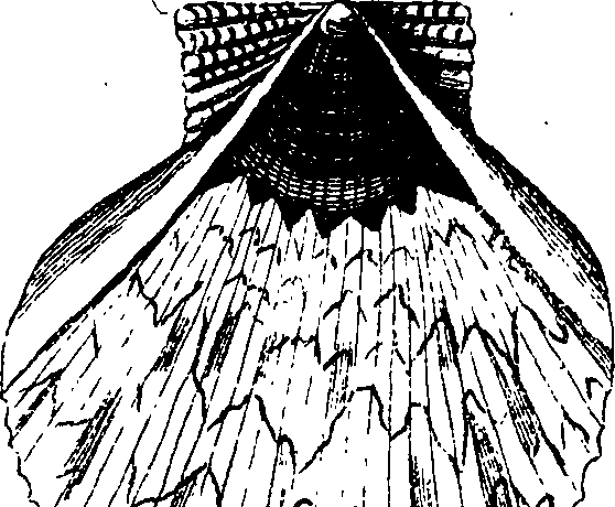 062/062970010000890_0.png