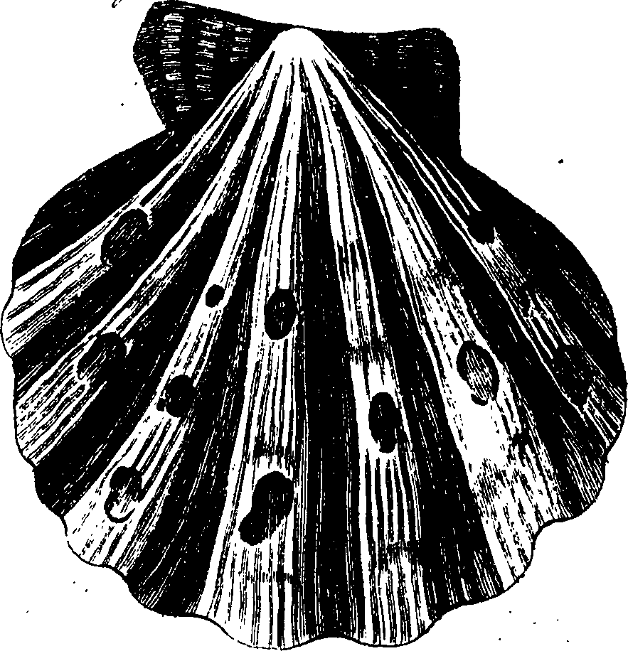 062/062970010000890_2.png