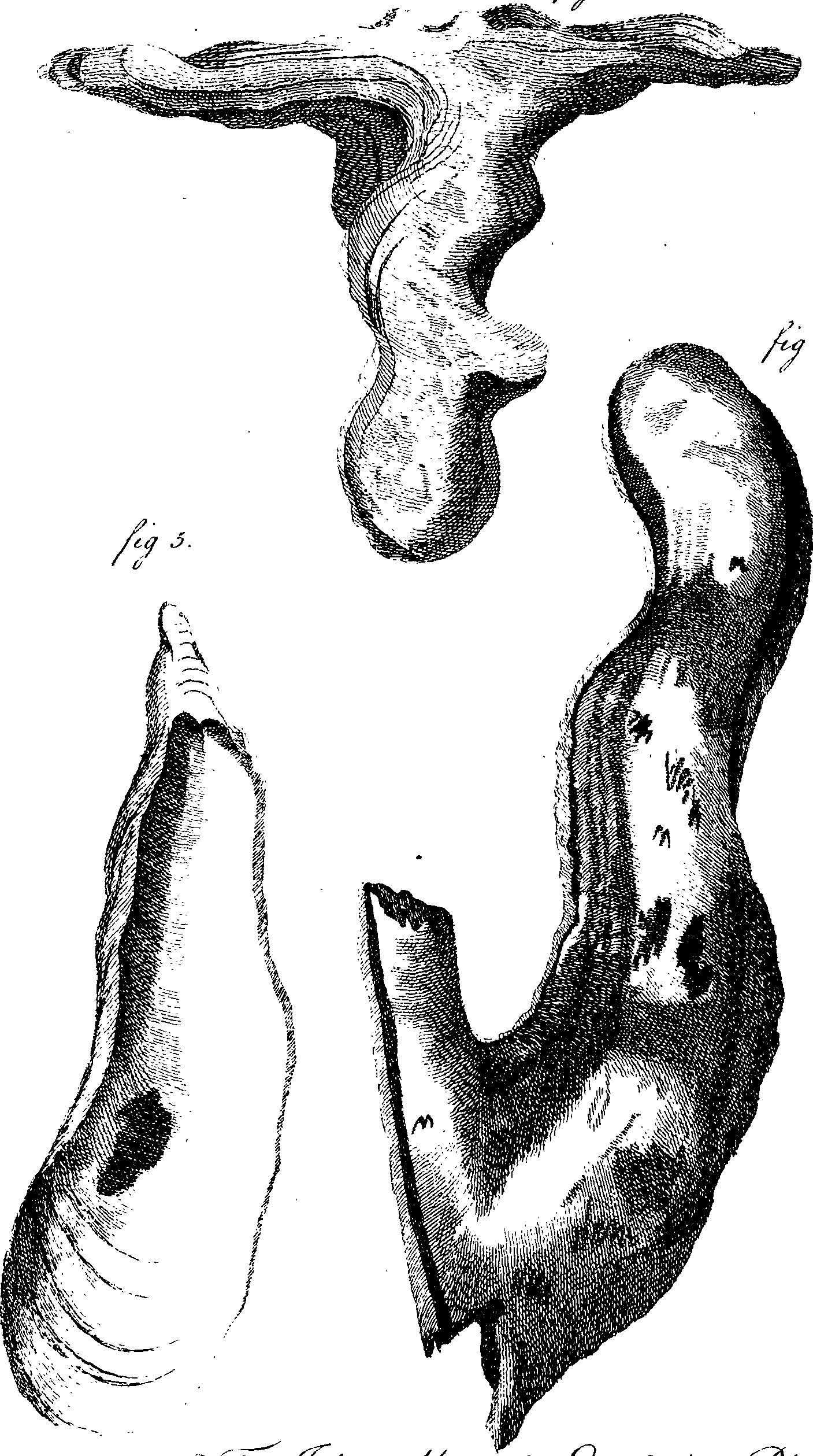 062/062970010000940_0.png