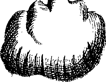 062/062970010000950_0.png