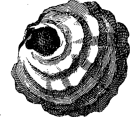 062/062970010000950_1.png