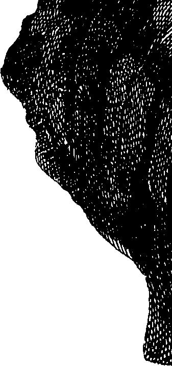 062/062970010000950_2.png